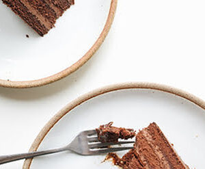 WDZ Chocolate Cake